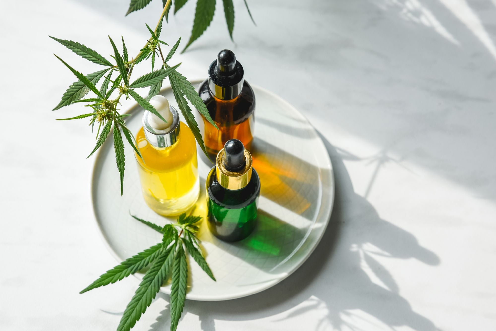CBD Oil is Best for Anxiety