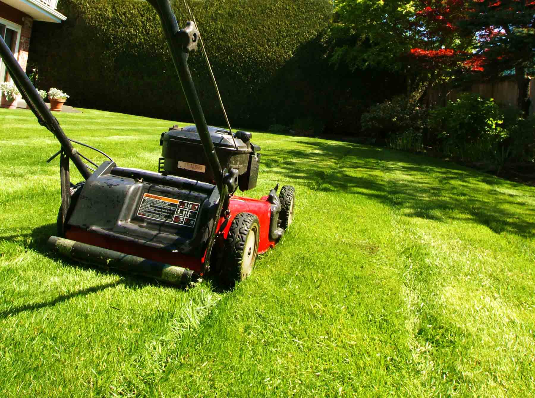 Lawn Mowers for Professionals